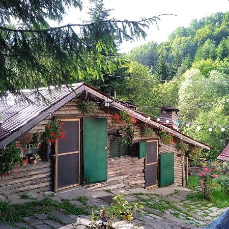 Apartament Zimska Idila Crni Vrh Zewnętrze zdjęcie