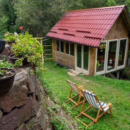 Apartament Zimska Idila Crni Vrh Zewnętrze zdjęcie